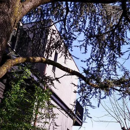 Alla Dimora Dei Cedri Bed & Breakfast